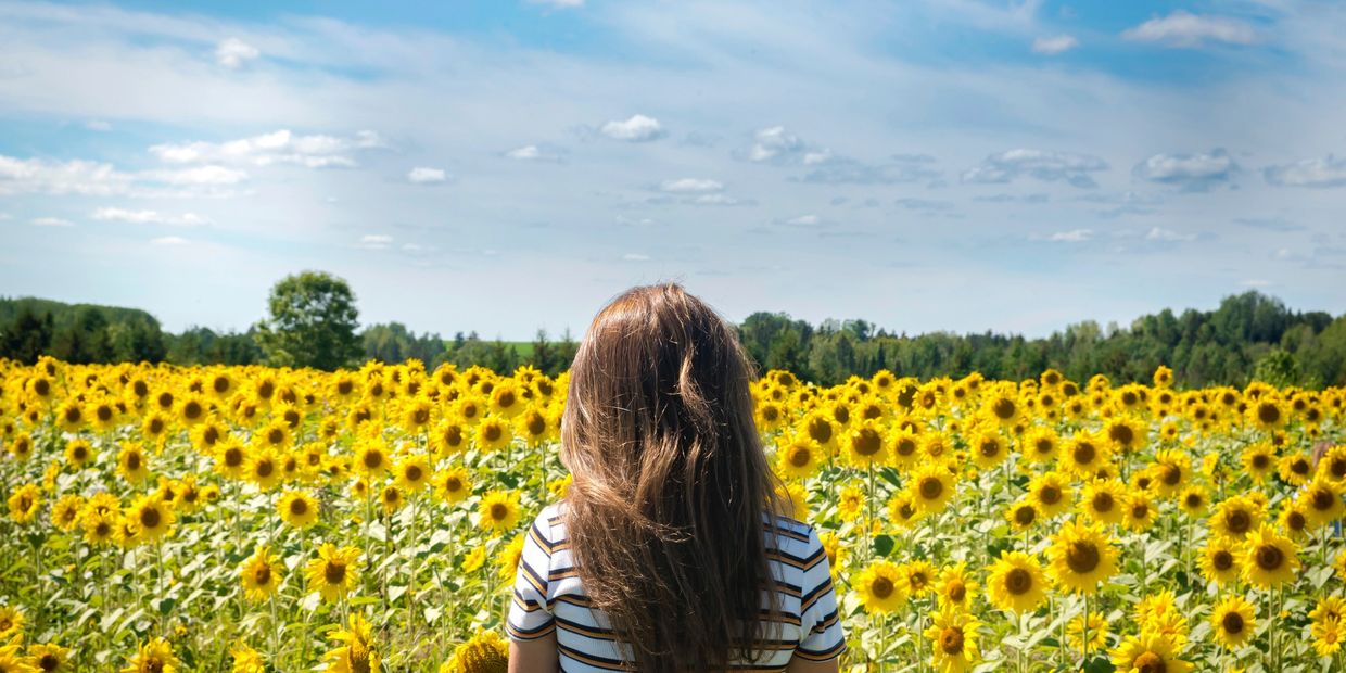 Woman with long hair in striped shirt facing sunflower field.