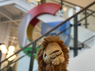 The minute I walked into the building at Google in California,  I had to stop and take a picture!