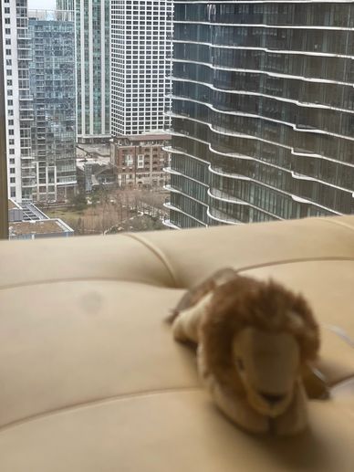 After that long trip, we neede a rest before we attended the evening's events.