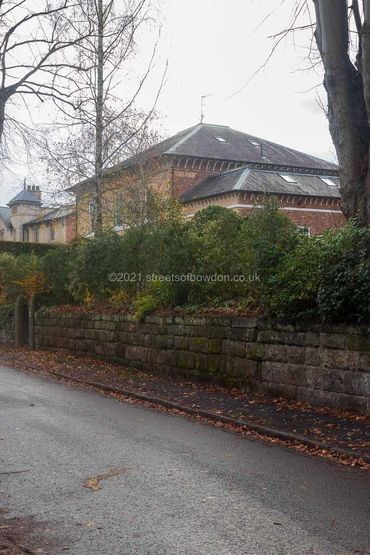Road with view of first floor of property behind hedge