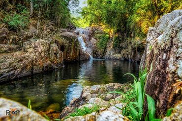 Swimming: Finch Hatton Gorge in the Pioneer Valley