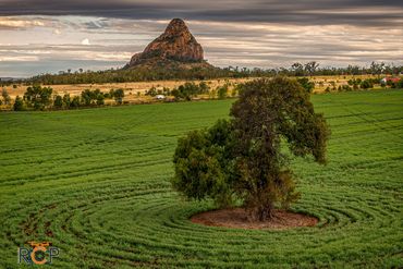 View across the paddock to Wolfang Peak
