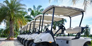 Golf Cart Business for Sale in Louisiana 