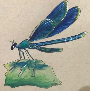 Blue and green dragonfly gouache painting 
