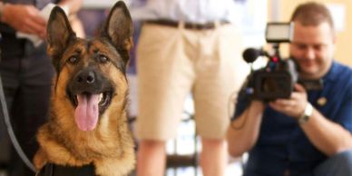 Bob Vincent filming military working dog Lucca