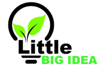 LittleBigIdea