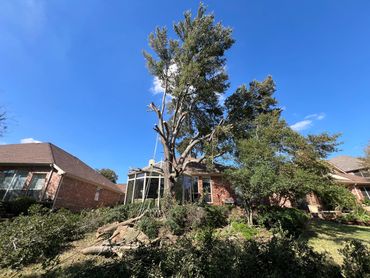 Tree Service & Stump Grinding Heritage Ranch Fairview Tx