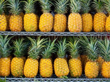 Want to enjoy the Hawaii life? Let My House Butler simplify owning that second home