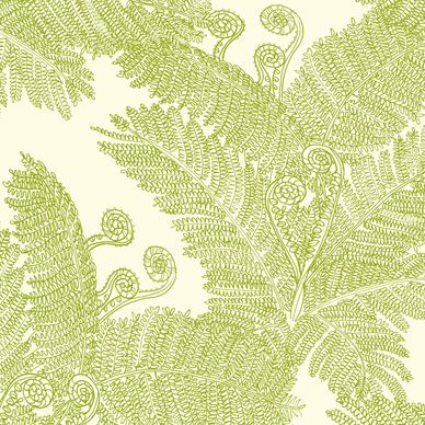 Hawaiian Fern Tree and fiddle fern