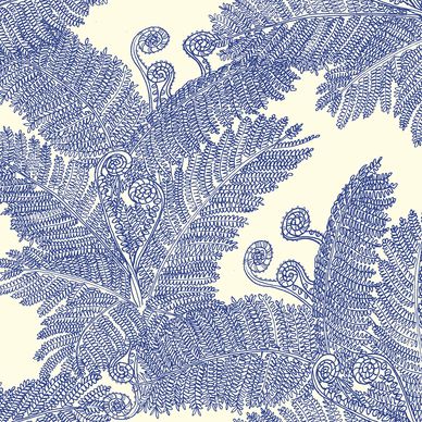 Hawaiian Fern Tree and fiddle fern