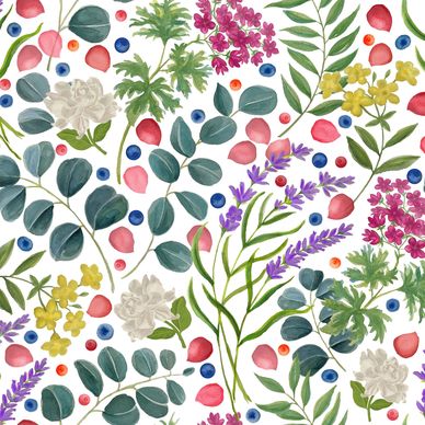 eucalyptus leaves and flowers