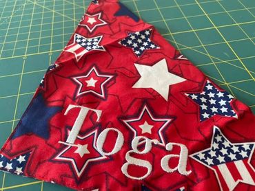 Is there anything cuter than a pooch in a bandana?