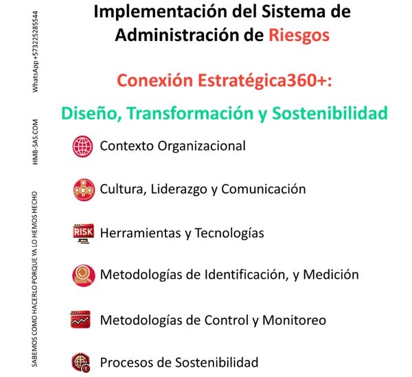Consultor, metodología, administración de riesgos, gestión de riesgos, control interno.