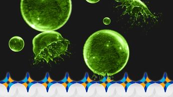 Protecting surfaces 24/7 365 days with a anti microbial shield.