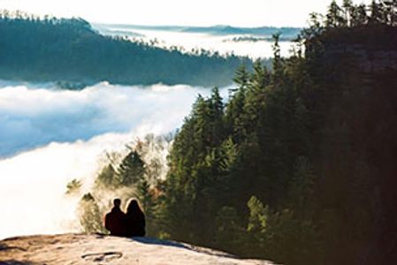 Photo by Max Boileau