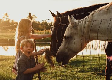 Conner’s A-Maize-Ing Acres