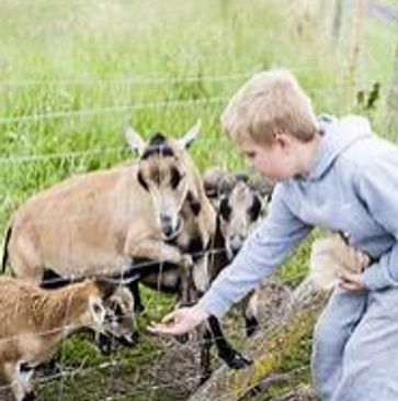 Conner’s A-Maize-Ing Acres