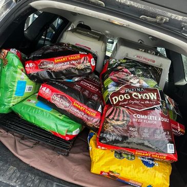 Multiple large bags of dog food stocked in a car trunk.
