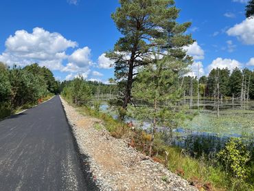 Adirondack Rail Trail passing by a pond