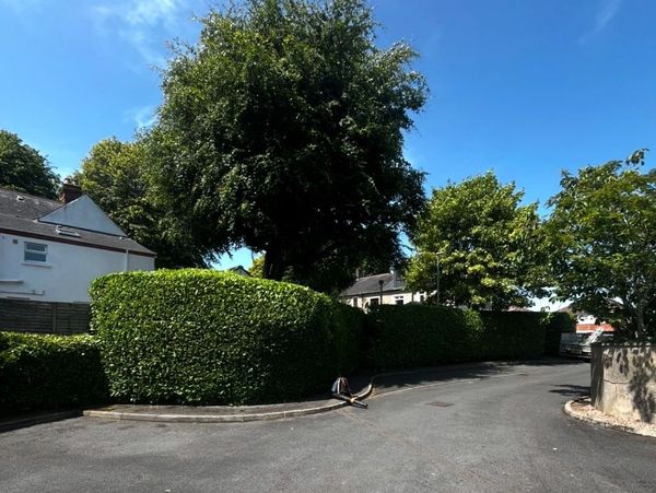 Hortisolve Hedge Cutting