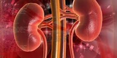 kidney failure, CKD, nephrotic syndrome, proteinuria, kidney stones, interstitial cystitis, IC