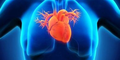 high blood pressure - heart disease - congestive heart failure - mitral valve prolapse - COPD