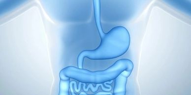 IBS - Crohn's - SIBO - leaky gut - gluten-free - bariatric surgery evaluations - diverticulitis