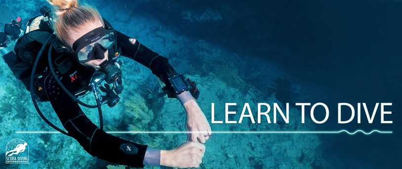 Scuba Diving Certification - Learn to Dive
