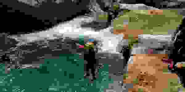 Atrévete a vivir!!🦏