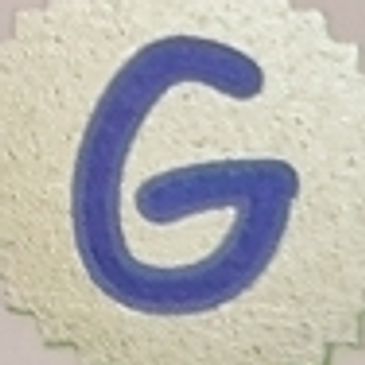 This is the Logo of G.O.T.C.H.A.