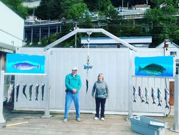 Limits of pink salmon for our cruise ship clients in Ketchikan Alaska.