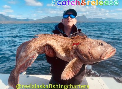 All Tackle Length World Record Lingcod Ketchikan Alaska