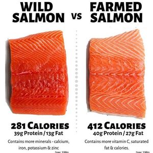 Wild Alaskan Salmon For sale