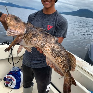 Young angler reeling in a huge lingcod.