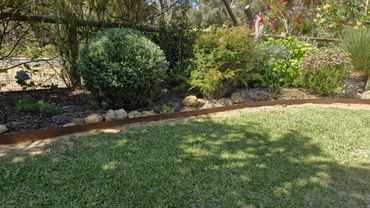Well-maintained garden with trimmed bushes, green buffalo lawn and corten steel edging.