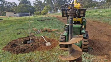 Tree planting in progress with a kanga and auger attachment on a green field.