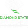 Diamond State Shades