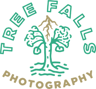 Tree Falls Photography Custom Logo design