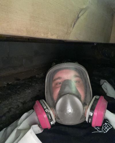 Mold Removal Bremen GA