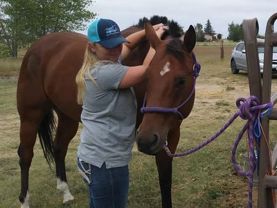 Forever Young Equine Therapy Solutions, Horse massage, Relax, Release, Rejuvenate, donkeys, mules