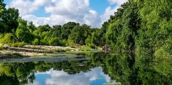 Wolverine Land Services proudly serves this area: Schertz TX