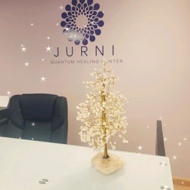 JURNI Quantum Healing Center - Enhanced Energy System - EESystem - Sullivan County, NY - Lobby