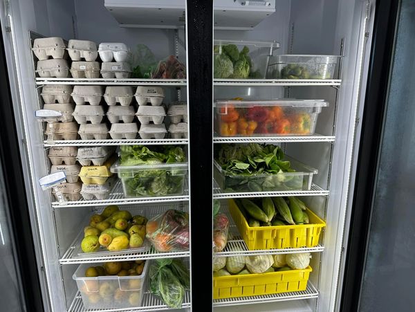 A refrigerator full of food