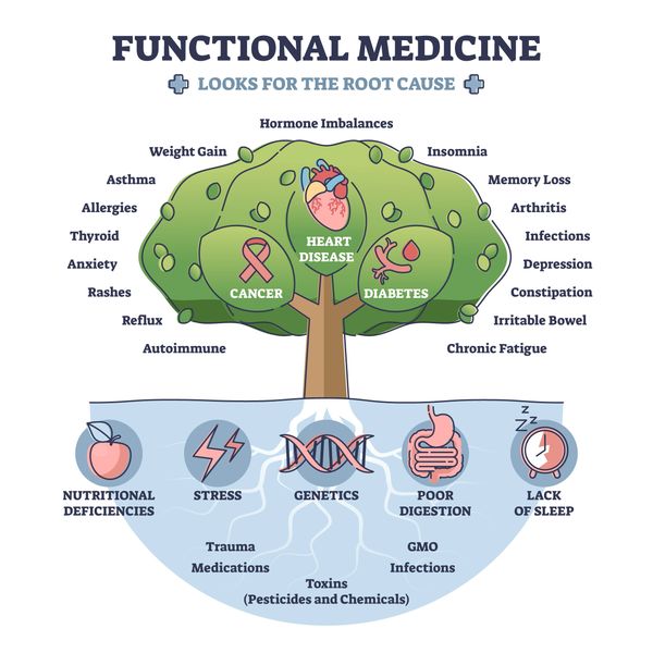 Functional Medicine
Root cause medicine 