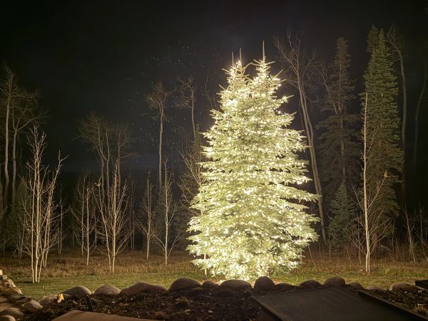 Christmas light installation on a large evergreen tree in Snowmass, Aspen Colorado. Warm white profe