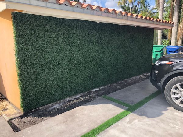 Artificial boxwood ivy wall - cocoplum style