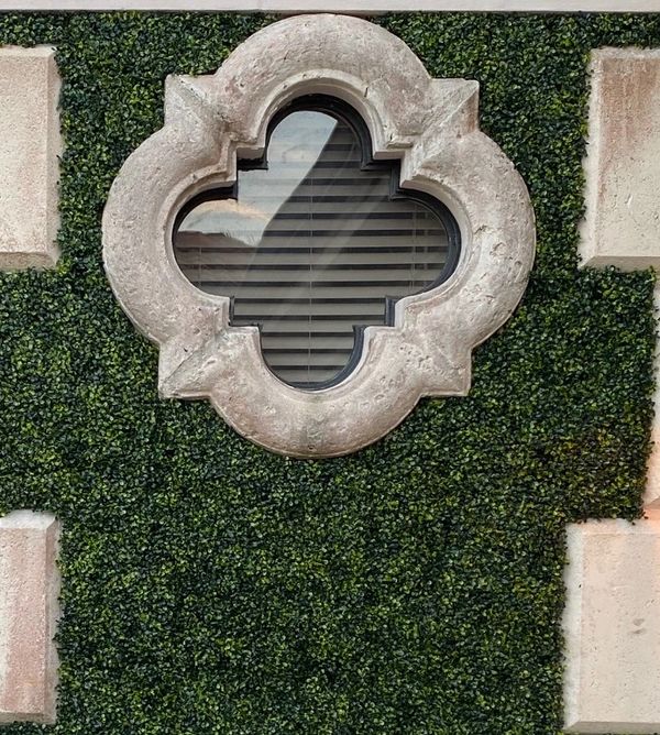 Artificial boxwood ivy wall - cocoplum style
