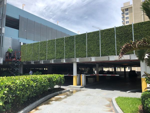 Artificial boxwood ivy wall - cocoplum style