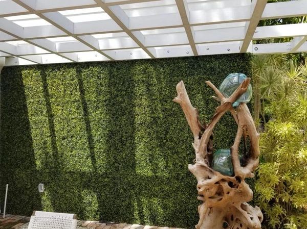 Artificial boxwood ivy wall - cocoplum style