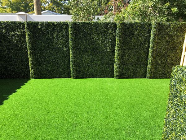 Artificial boxwood ivy wall - cocoplum style